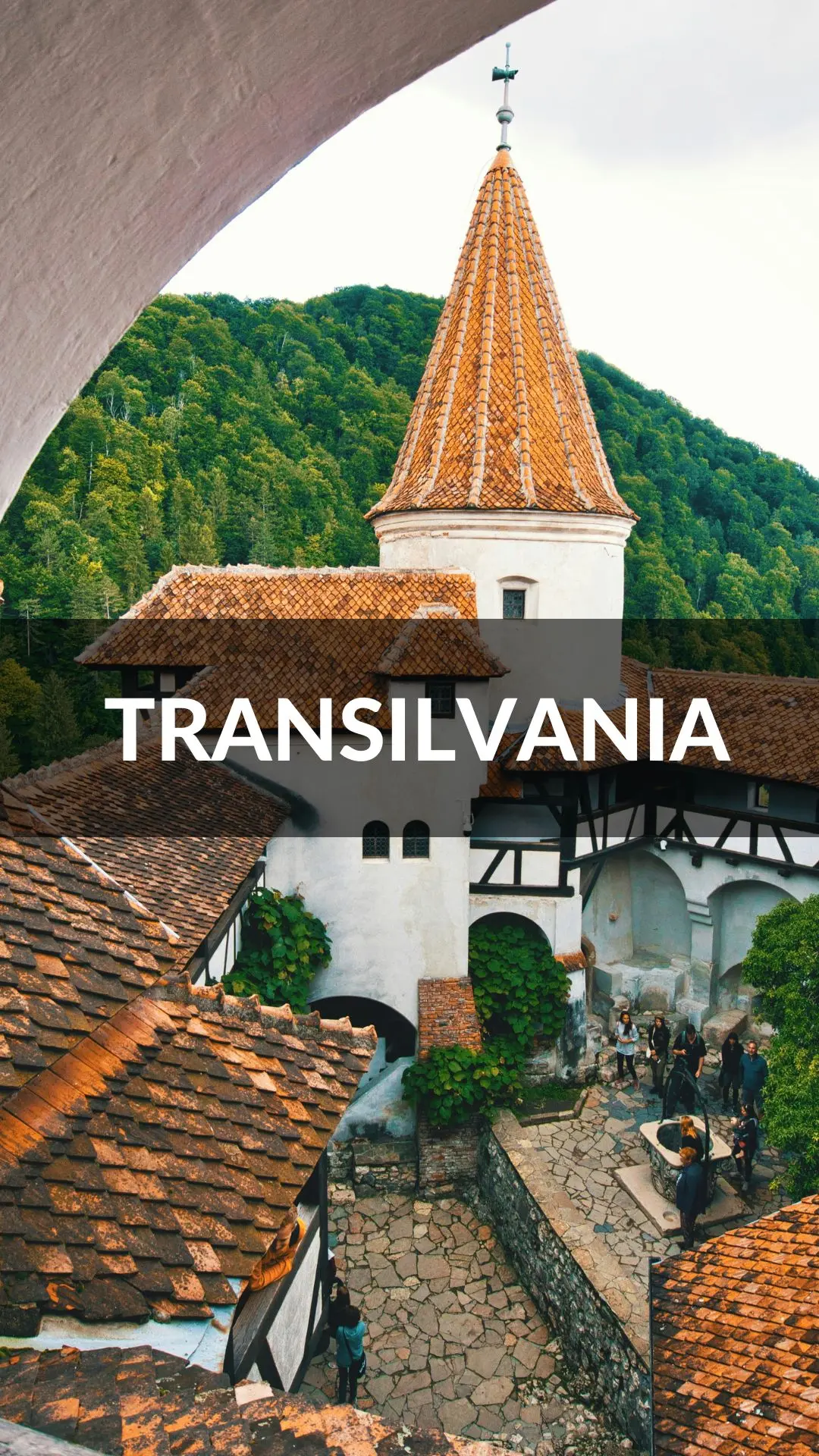 portada transilvania