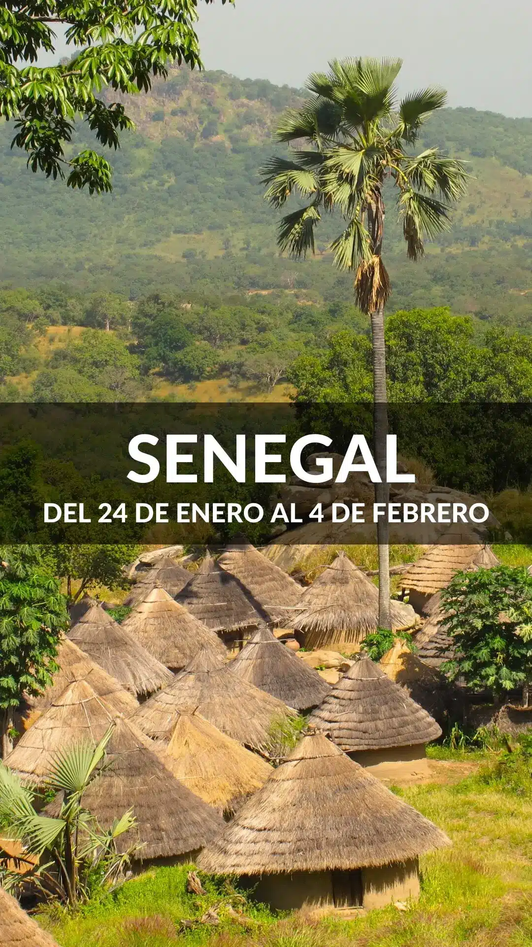 Viaje en grupo a Senegal Enero 2026