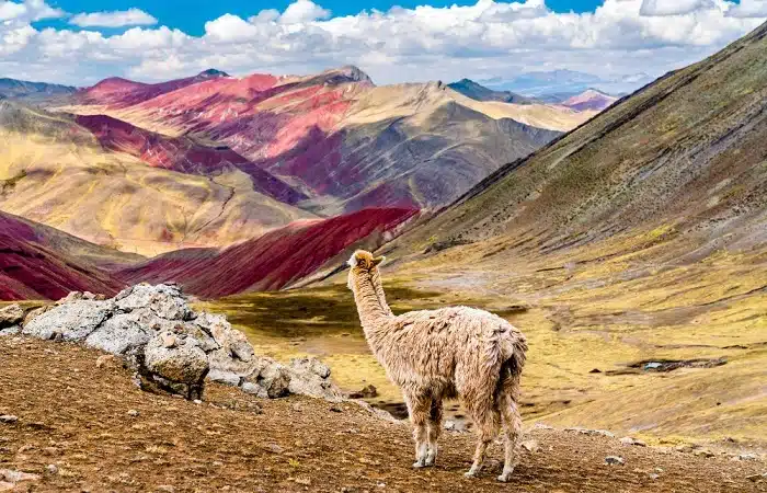 viajar barato a peru