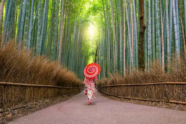 Arashiyama y su bosque de bambú