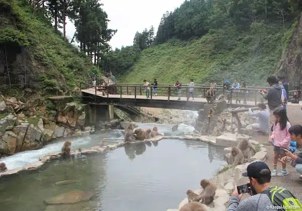 Jigokudani