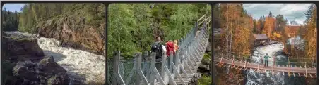 Parque Nacional de Oulanka