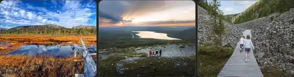 Parque Nacional de Pyhä Luosto​