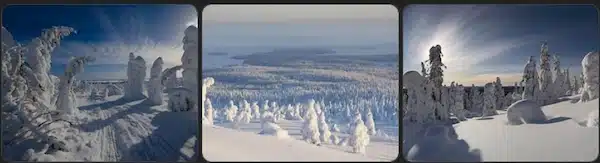 Parque Nacional de Riisitunturi​
