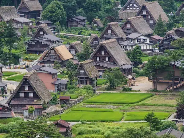 Shirakawa go en verano