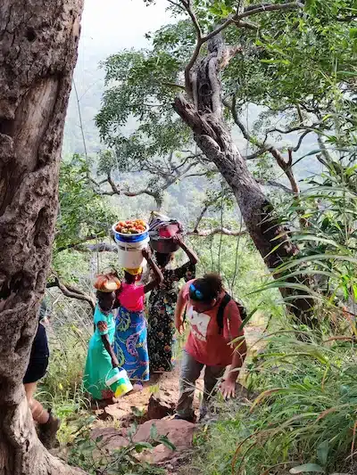 comida senegal tipica