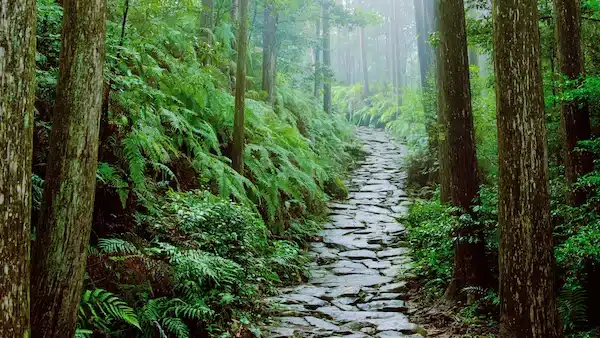 kumano kodo 2