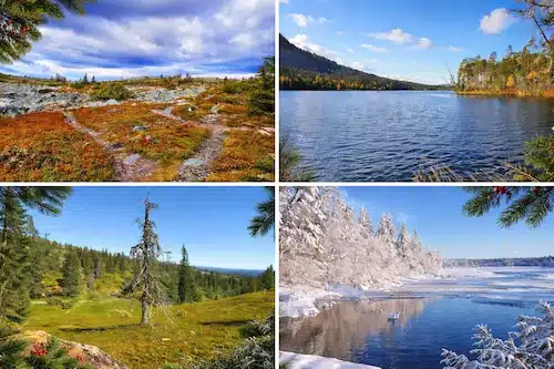 laponia finlandia
