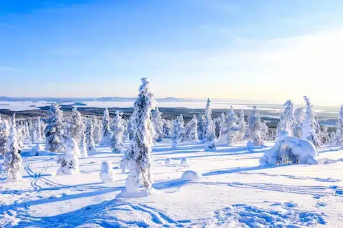 snowboard laponia