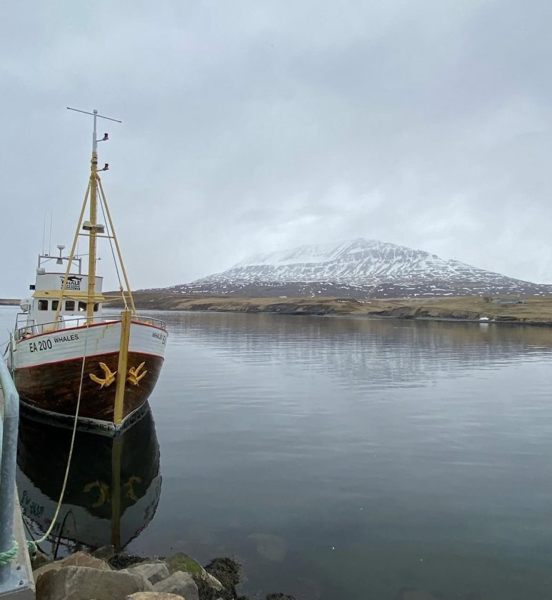 mar-islandia-septiembre-2025